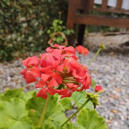 Charmoso Apto Com Clima De Casa Em Canasvieiras フロリアノポリス エクステリア 写真