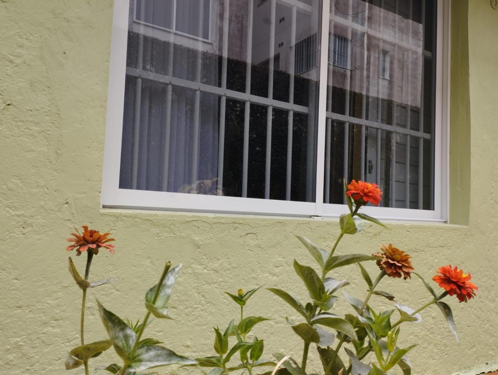 Charmoso Apto Com Clima De Casa Em Canasvieiras フロリアノポリス エクステリア 写真